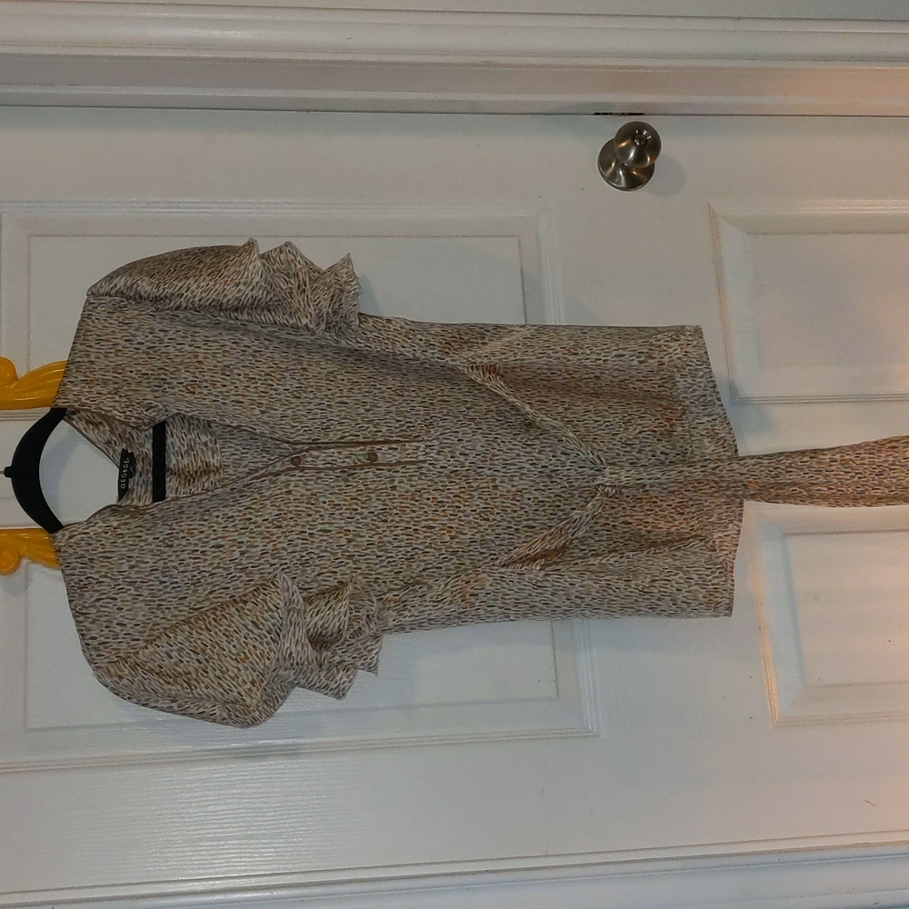 Size Large Blouse
